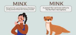 mynx meaning|minx definition slang.